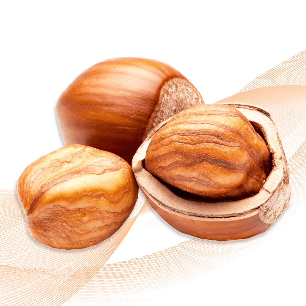 Hazelnut