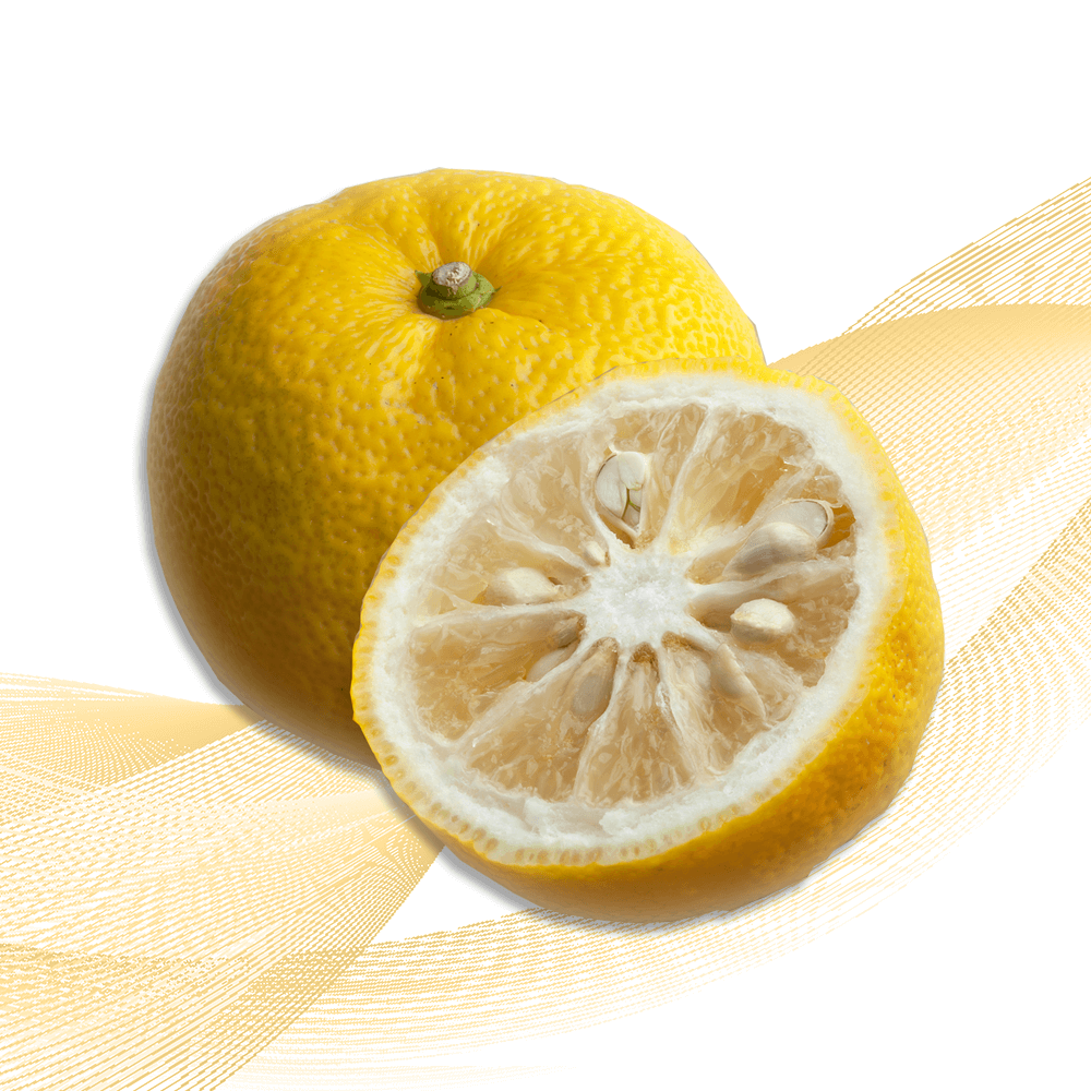 Yuko Citrus Nhật Bản