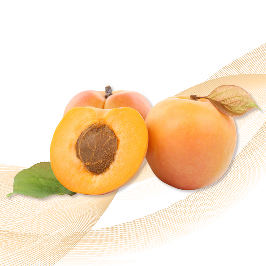 Apricot